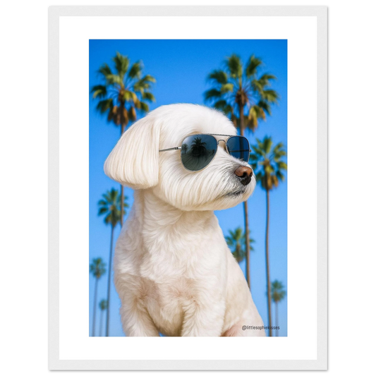 002c65d9-07fd-4d49-aa39-fe741c6a6ea8