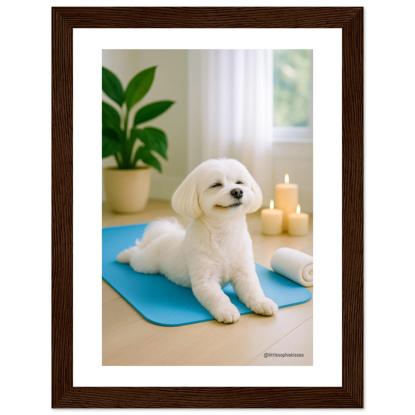 0074162e-190a-425b-814c-90bb0c15dd32