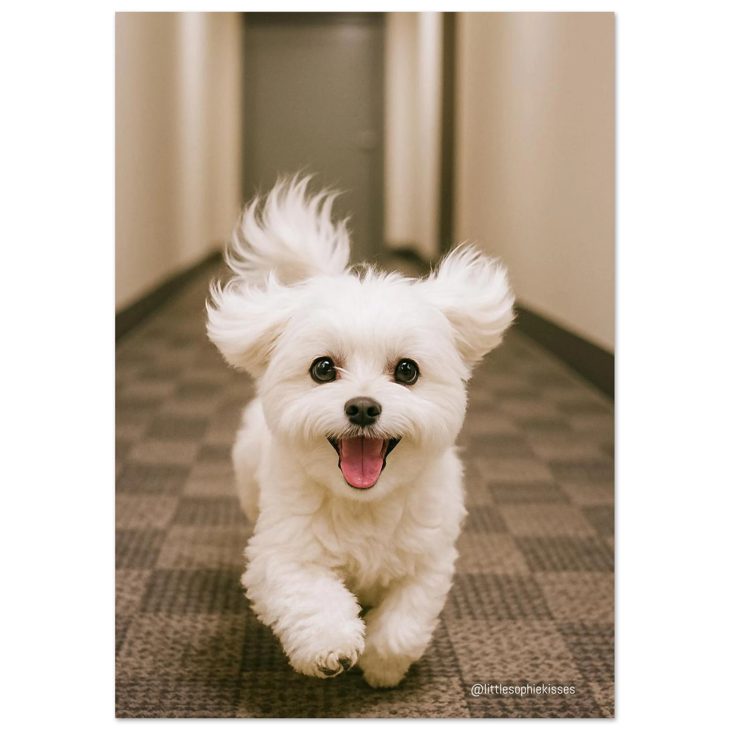 031fe0f2-e2fd-4322-a108-c60ff4a8be3f