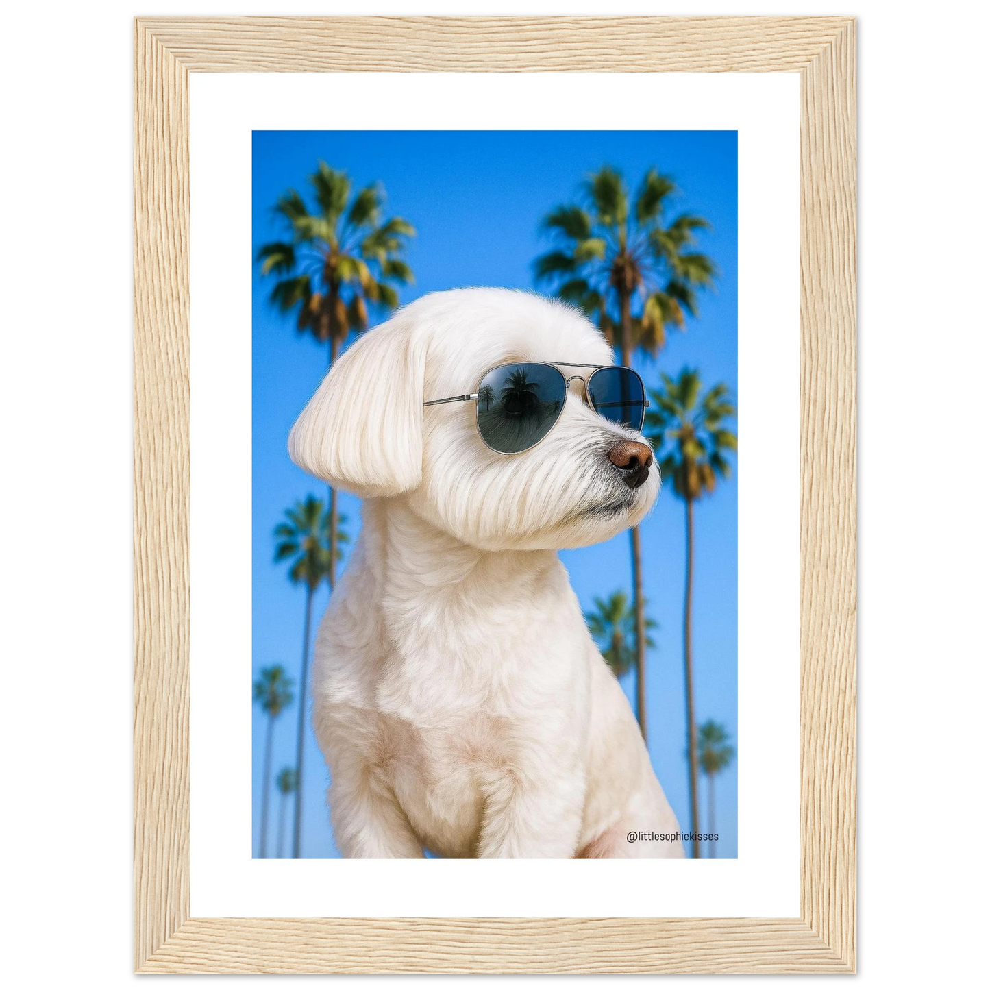 05071901-6790-418d-8645-3a6230f56afc