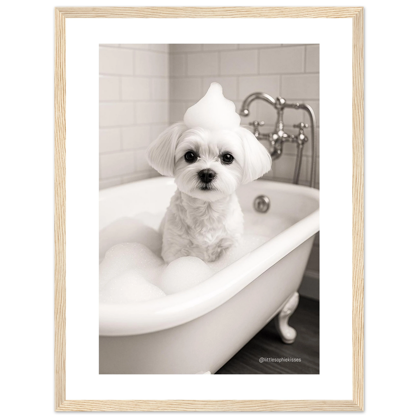 05928e03-98ce-45d3-a2bd-eb17bd8b66ae