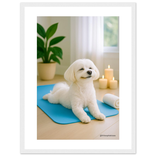 07bd62c6-d26e-4661-9e64-6e6e4b1a9929