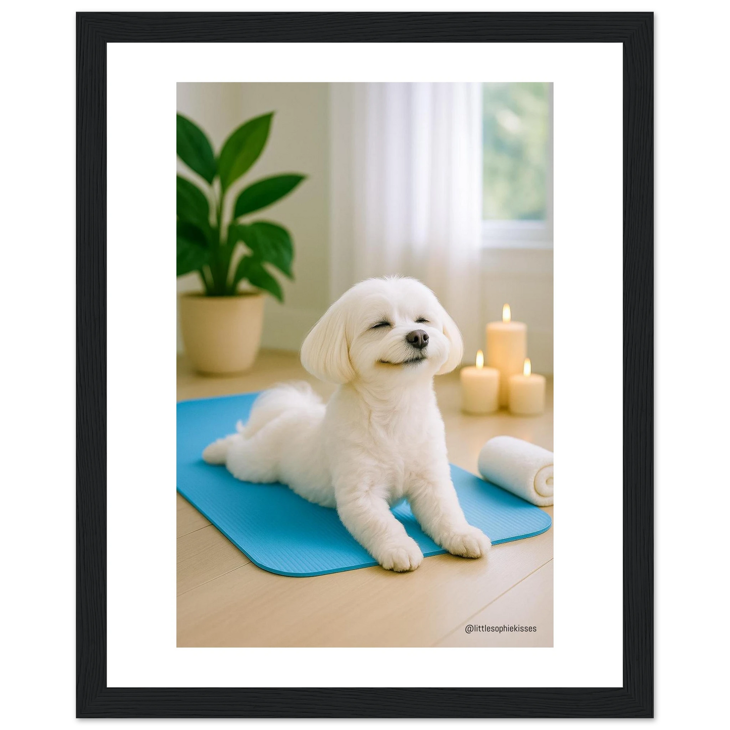 0a330cad-5b70-4ed1-9446-e436325beadb