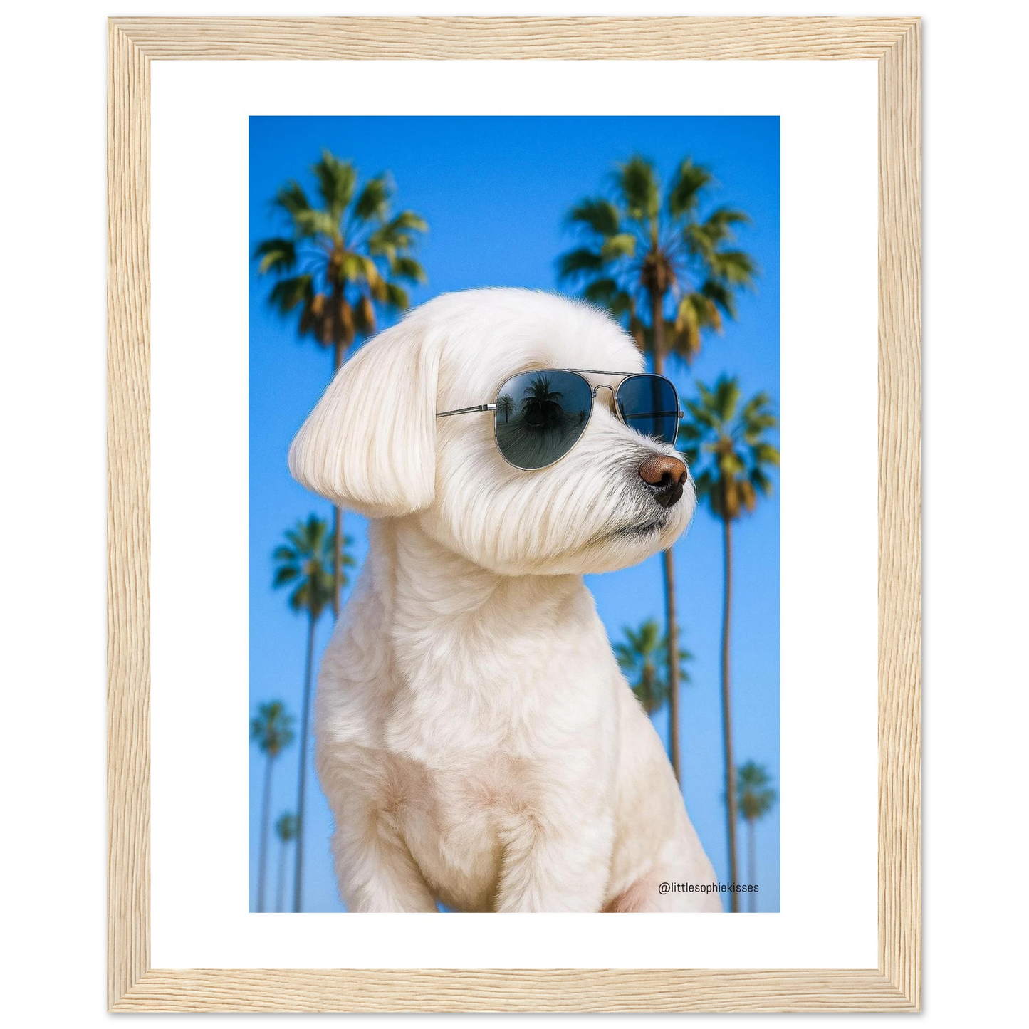 0c2459c4-4876-4452-9d1a-d21ebae67b12