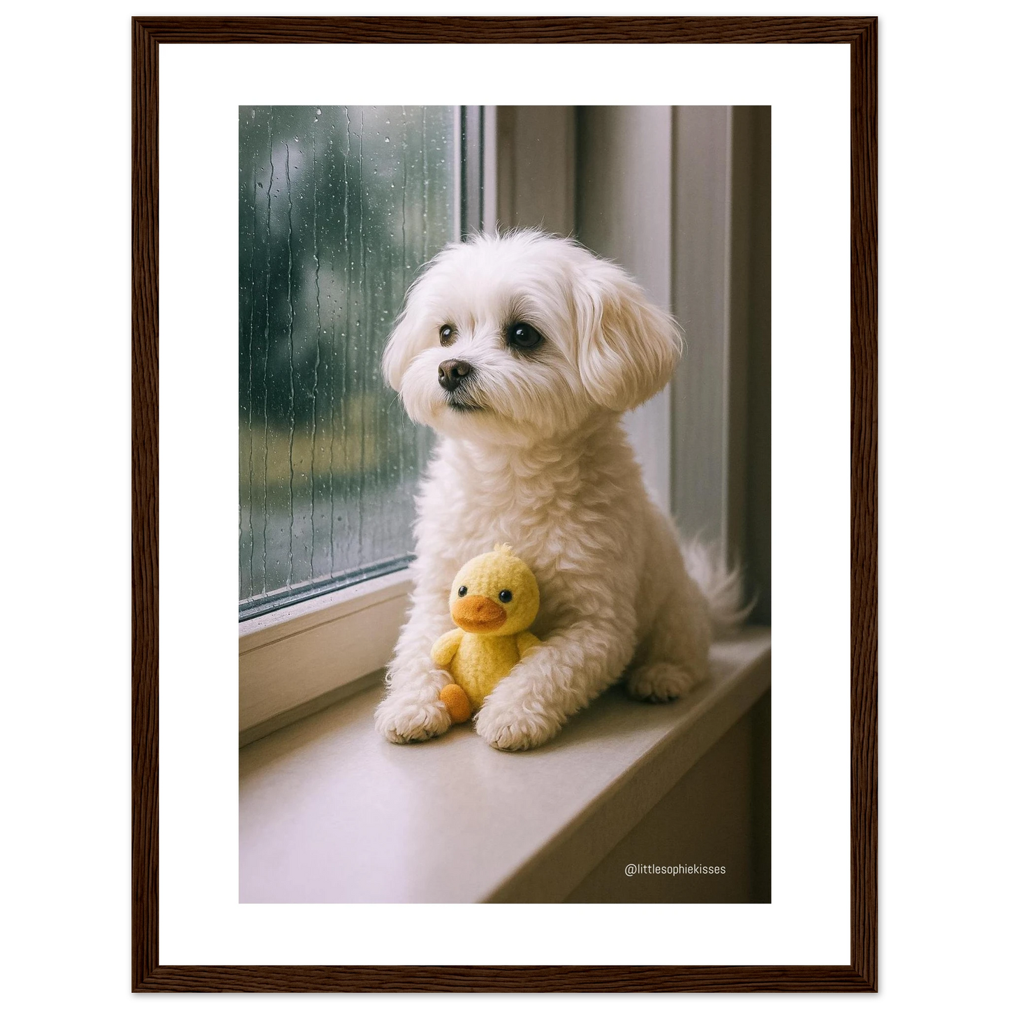 1126a036-6ed1-47c0-9a2d-db106669518b