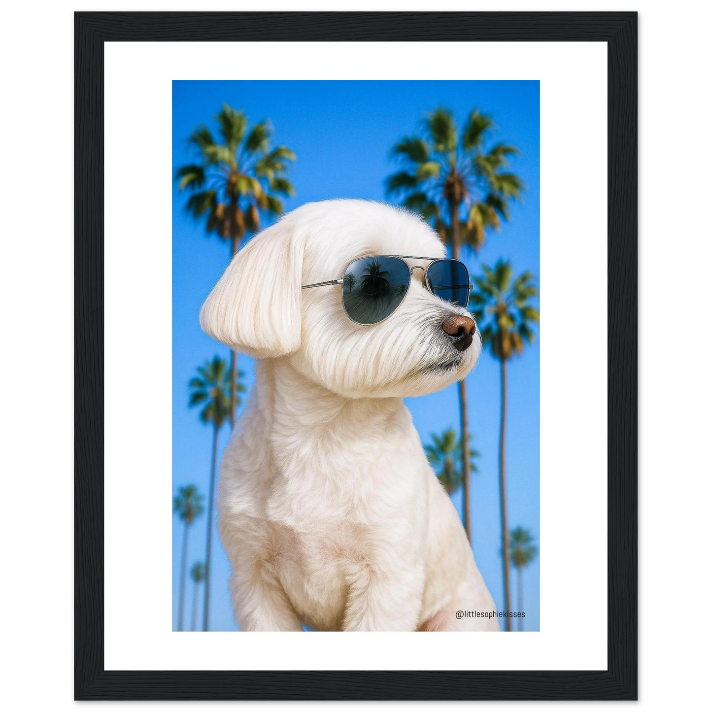 115e7882-6417-4aae-81ed-e264172bfd61