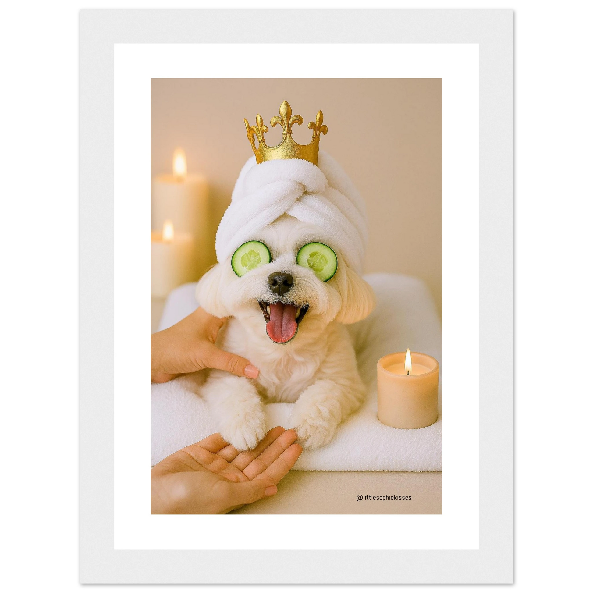 17bca3cc-e0a5-464f-824a-4cd2e9c60e80