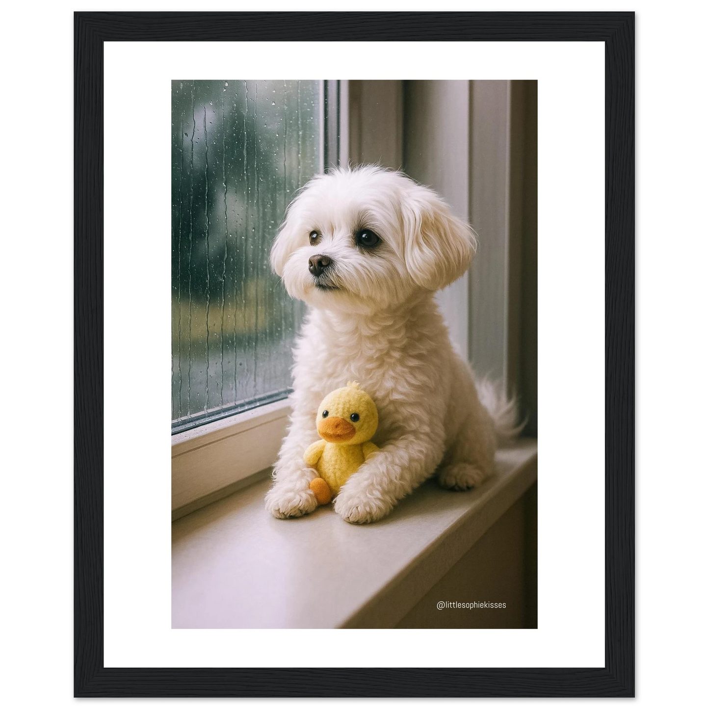 1a990bde-e55a-4326-8094-bd564b849313