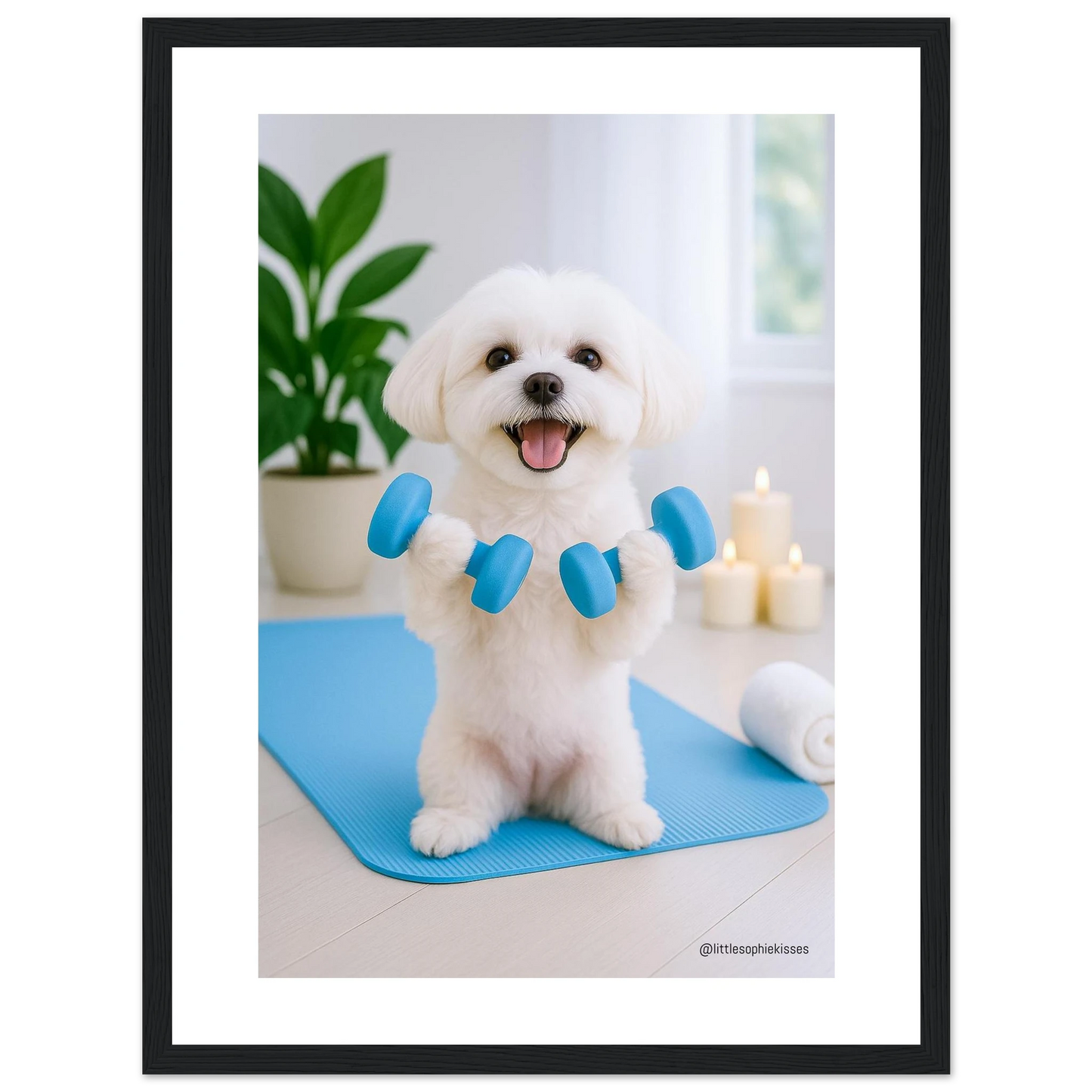 1bd26481-658b-4ff5-9dc2-ec99f84ef843