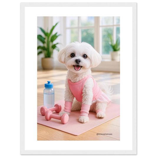 1d585cd7-87e4-4d0e-b0a8-02767d69a6dc