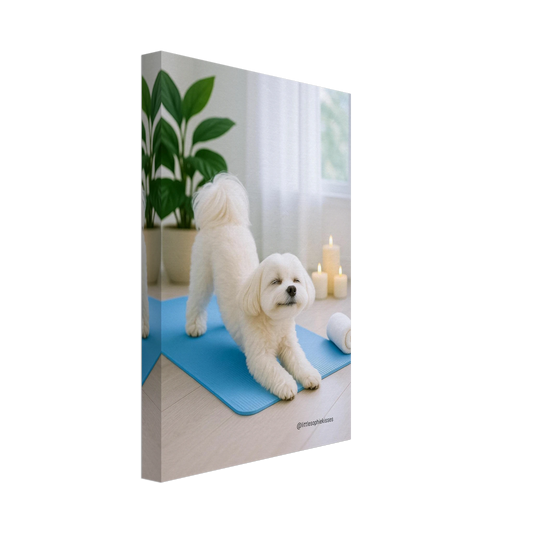 23b7f14c-a616-46de-befd-3be91b56242b