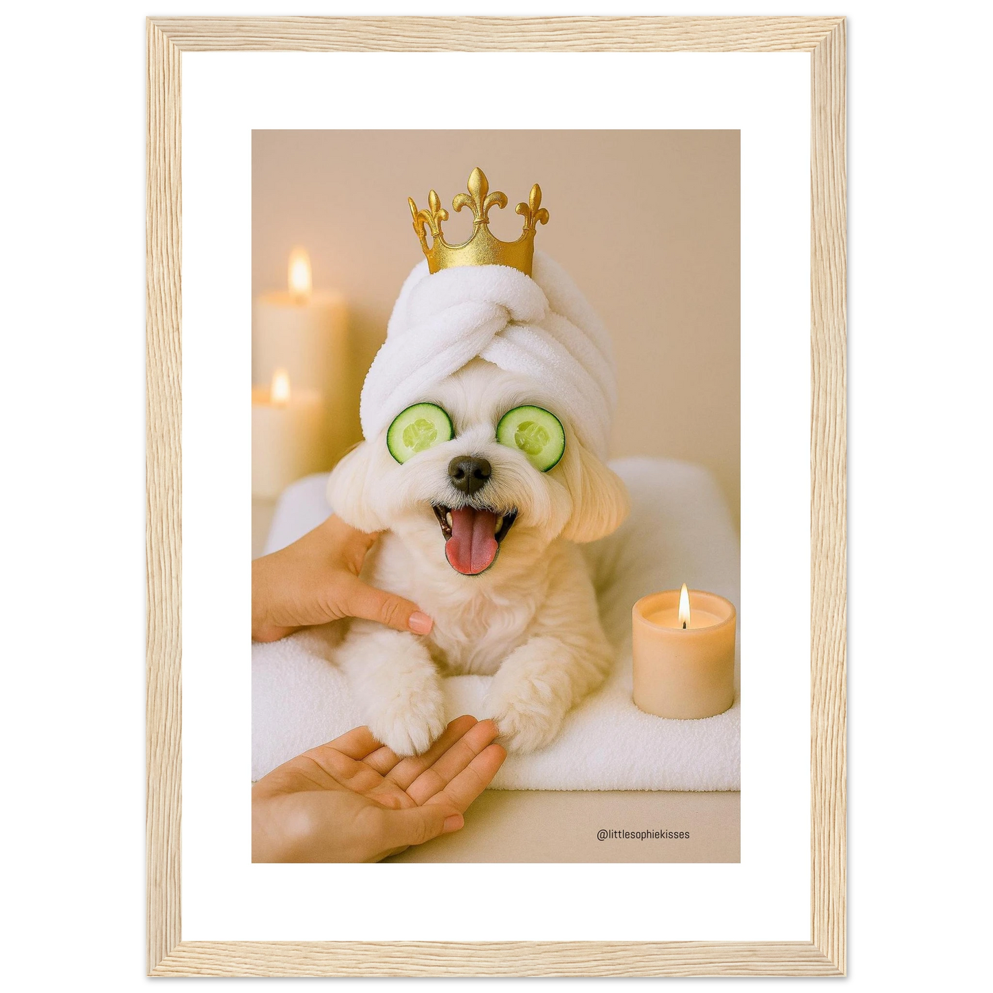 3dbfe336-727e-4176-ba70-587b852e5052