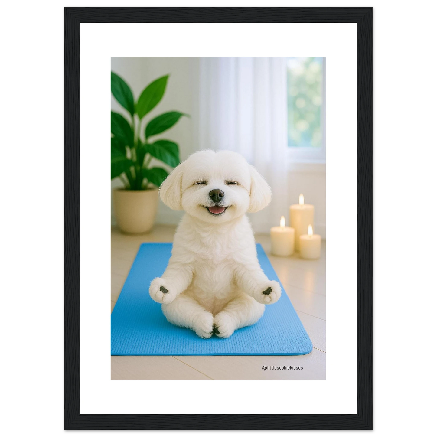 4303e14f-1a21-4166-8871-b97046411639