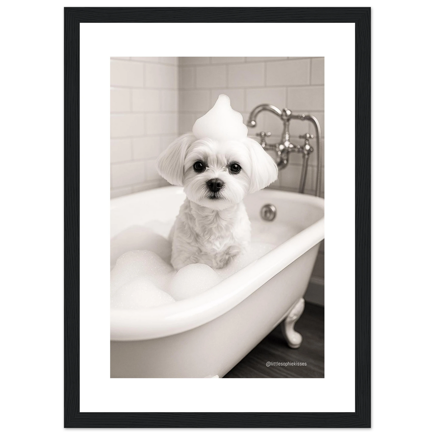 47862835-bd4e-4d22-a695-f089b9ab44f8