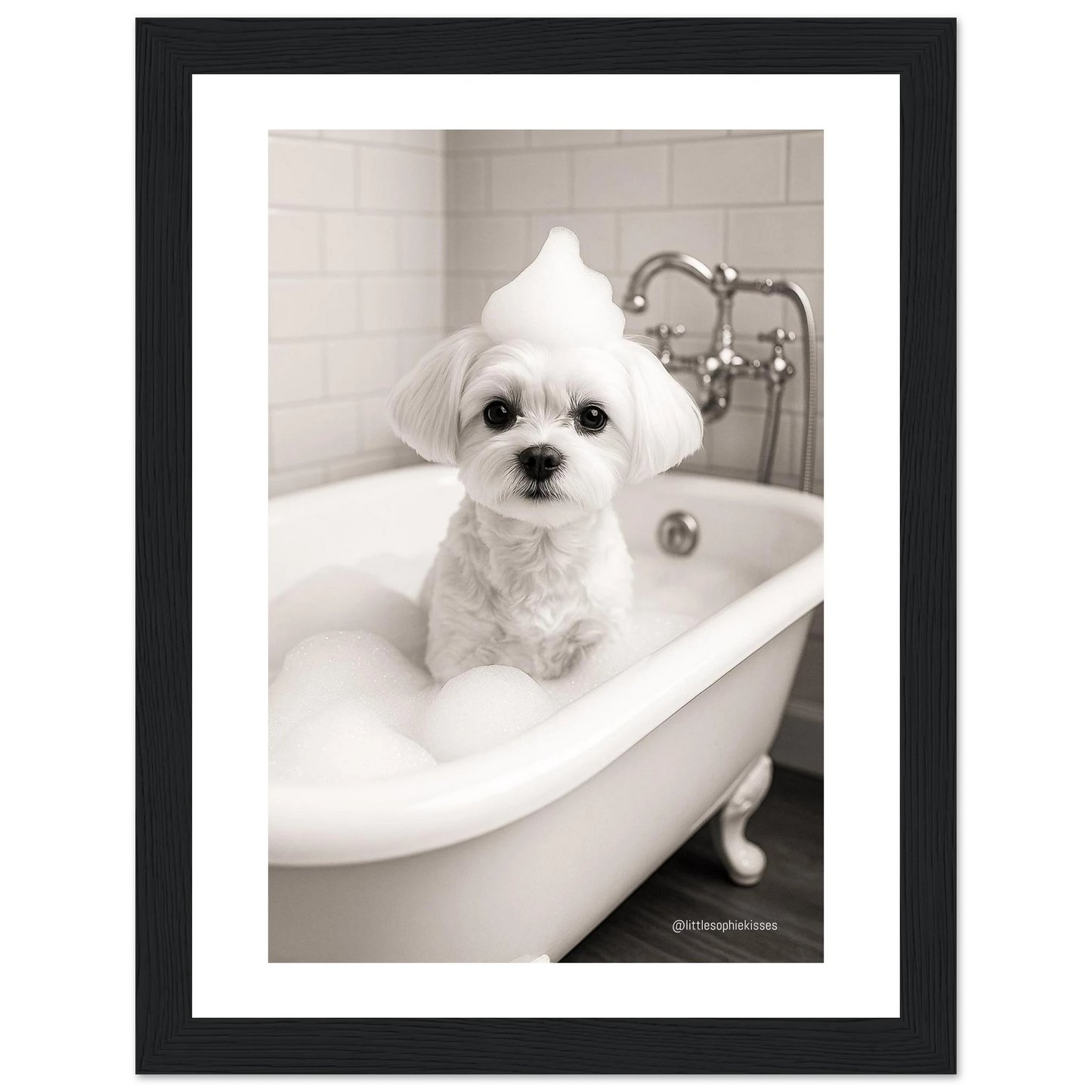 48a19772-ac24-4468-960f-f86d15e14eca