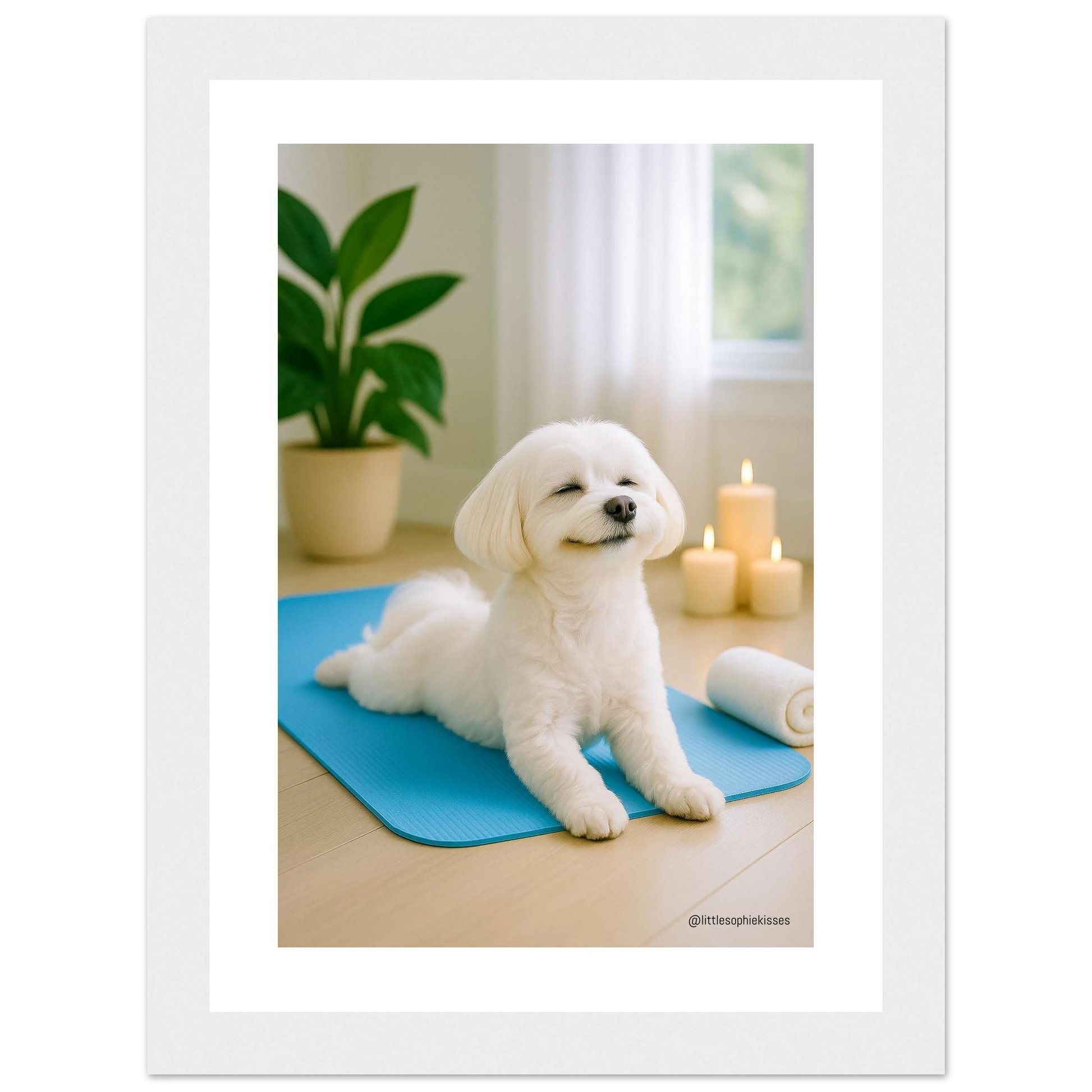 4a5c6685-4b31-4b3f-b008-a1487cf28819