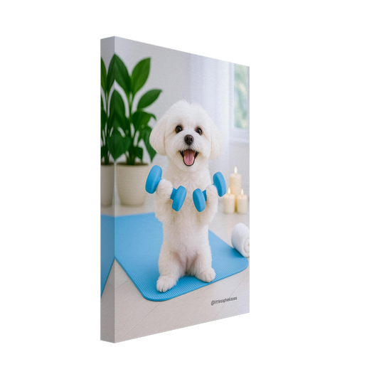 503c08d4-e0c4-43cf-9c9a-6e8b479e080b