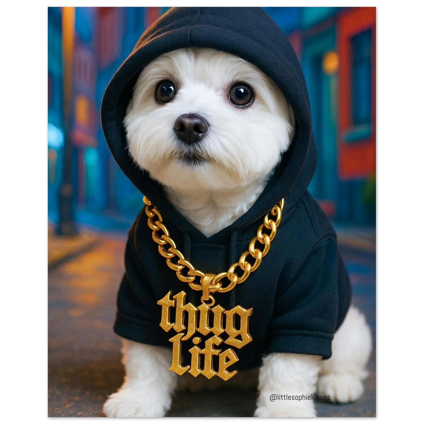 540892e0-3a89-4980-ae30-308793876672