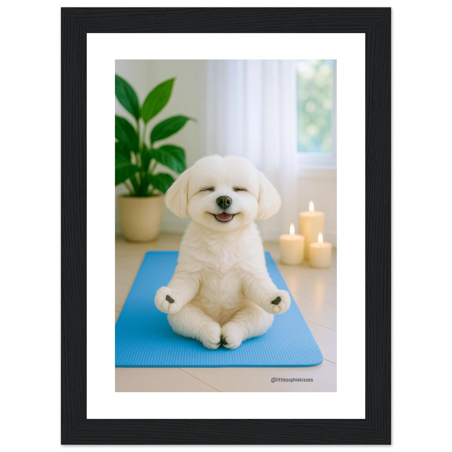 5c0c2565-8525-46cf-ad09-9c7bd16f93e2