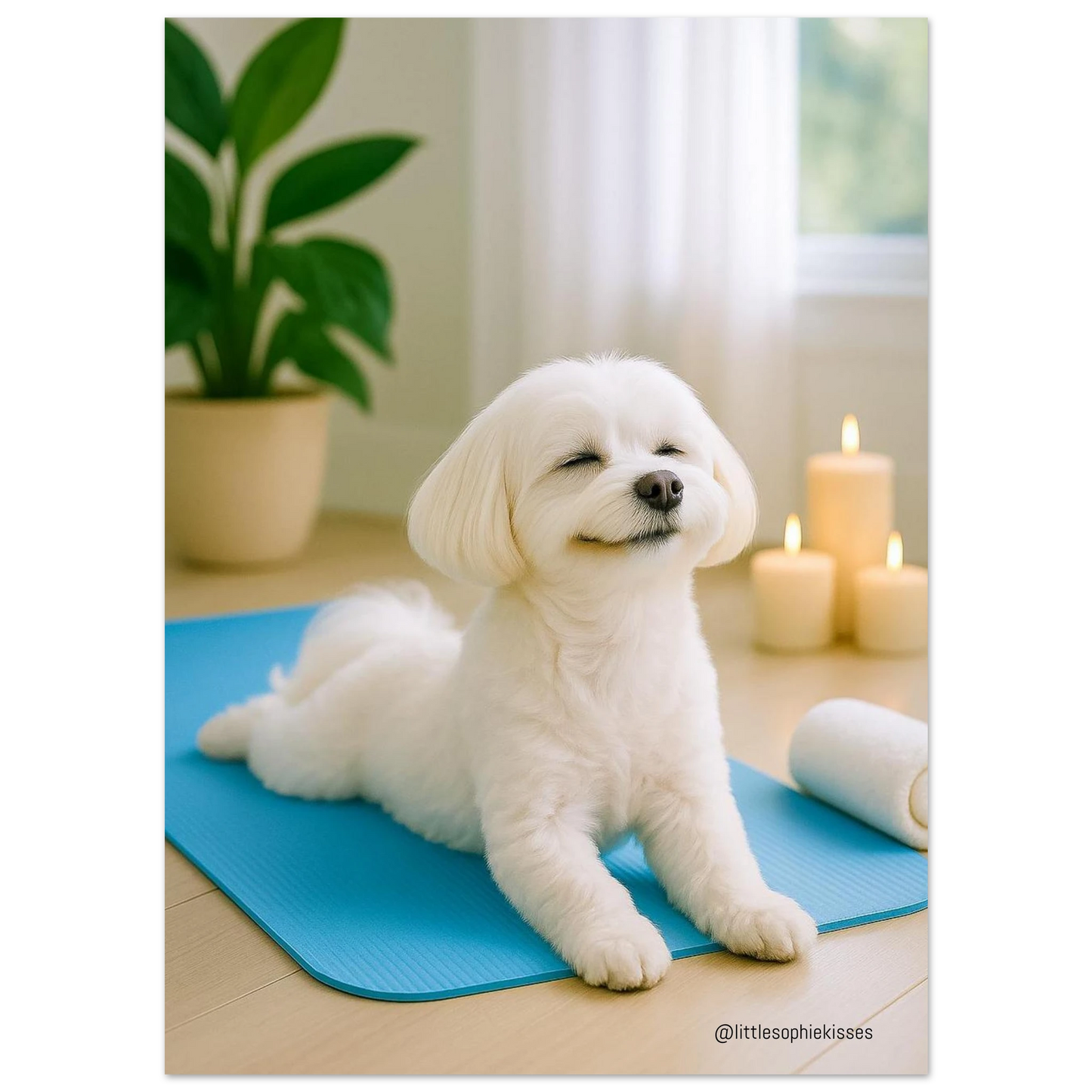 5d00b3c2-772f-4605-a9c7-27f331499856