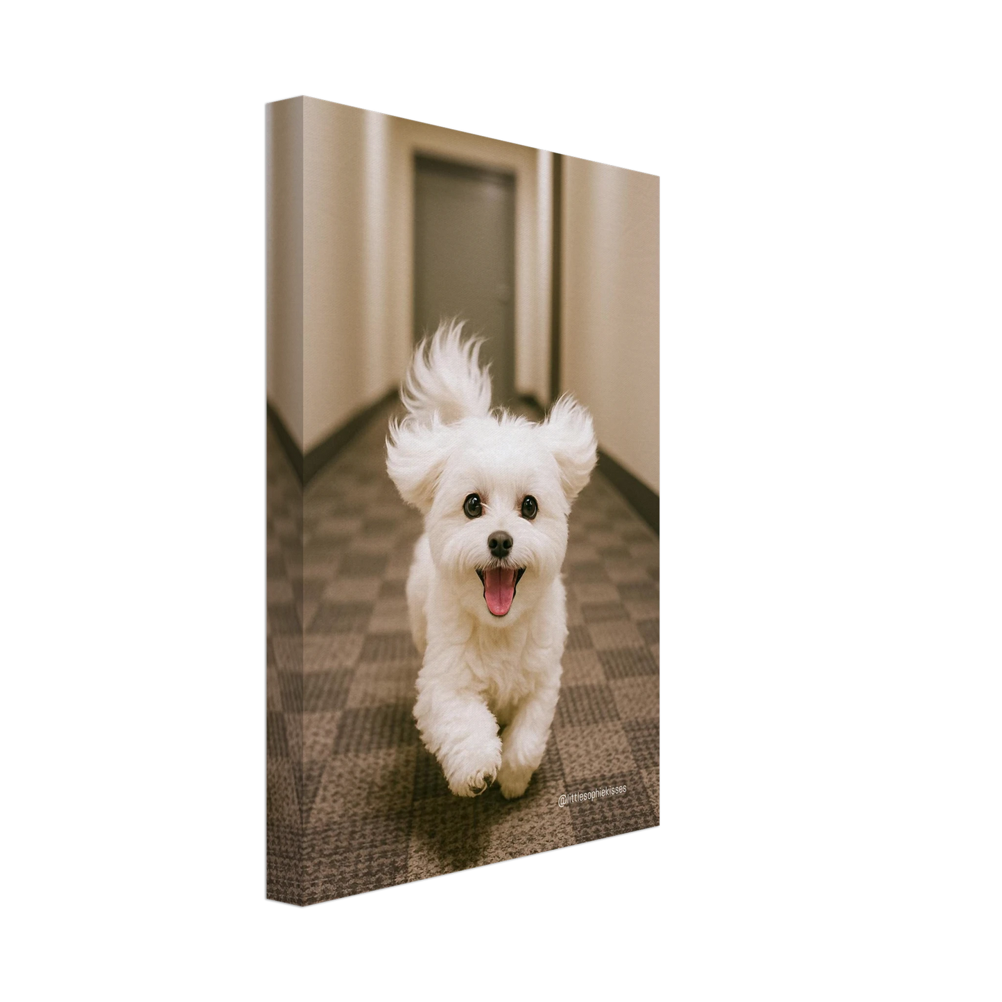 6244dfc4-ab8a-4ea7-bba6-fbd1a757dddf