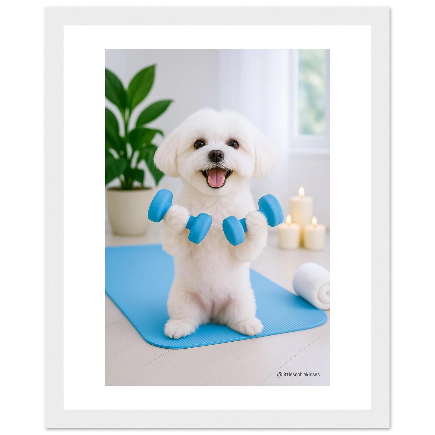 6385d5fa-f513-4862-857b-c80215357cfb