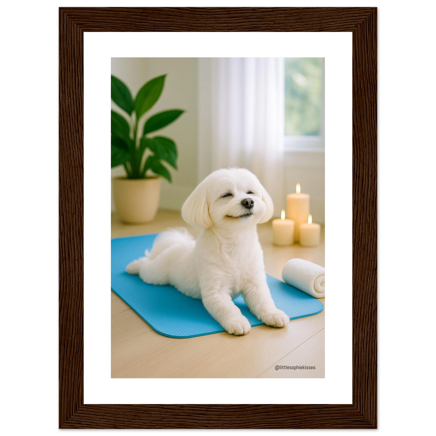 66346812-eae3-4590-a01d-e91e209262ba