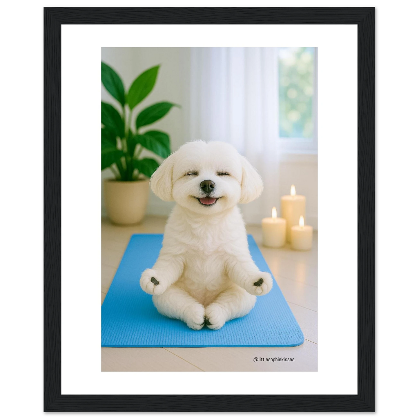 6d50478d-2b4f-4ddb-92b7-3918716371b6