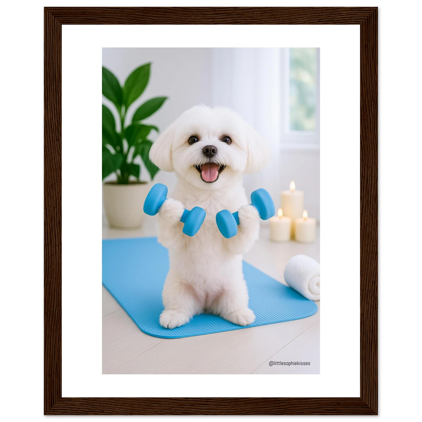 70051b13-5247-4f7b-8a44-56415cfe6672