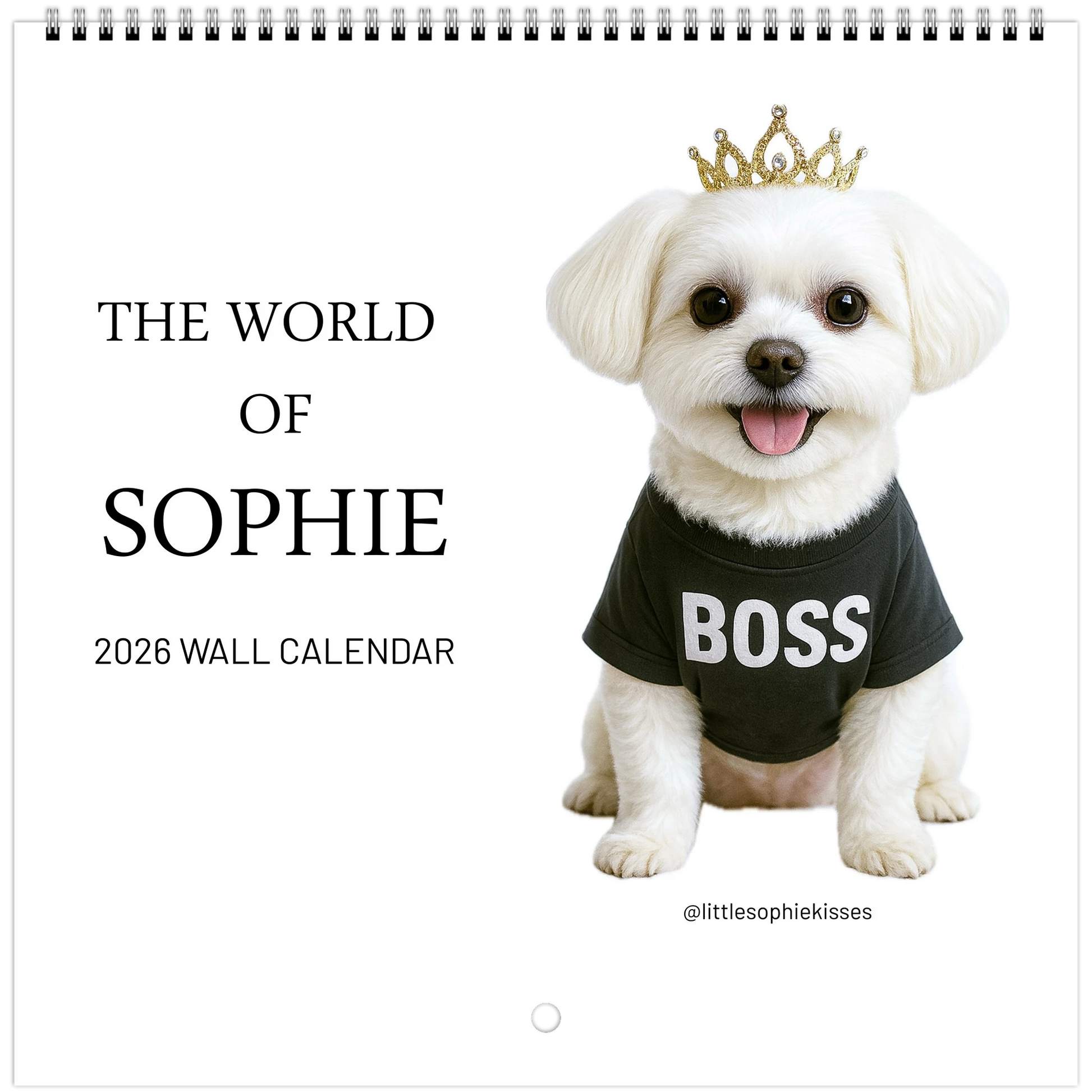 71ef43b2-29ef-42b0-84fd-8a0097d16aab