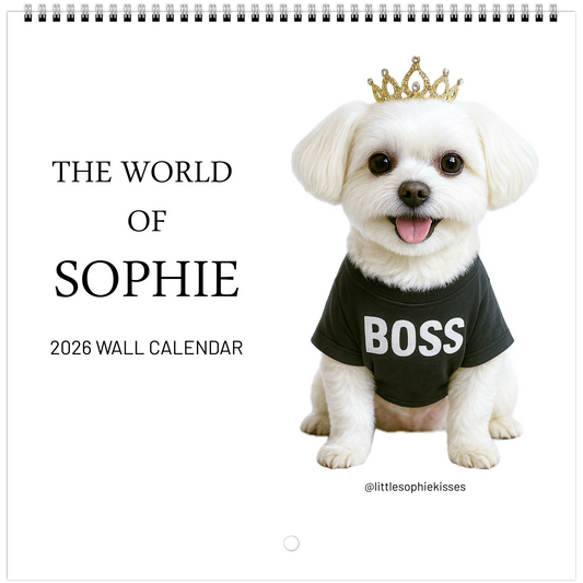 71ef43b2-29ef-42b0-84fd-8a0097d16aab