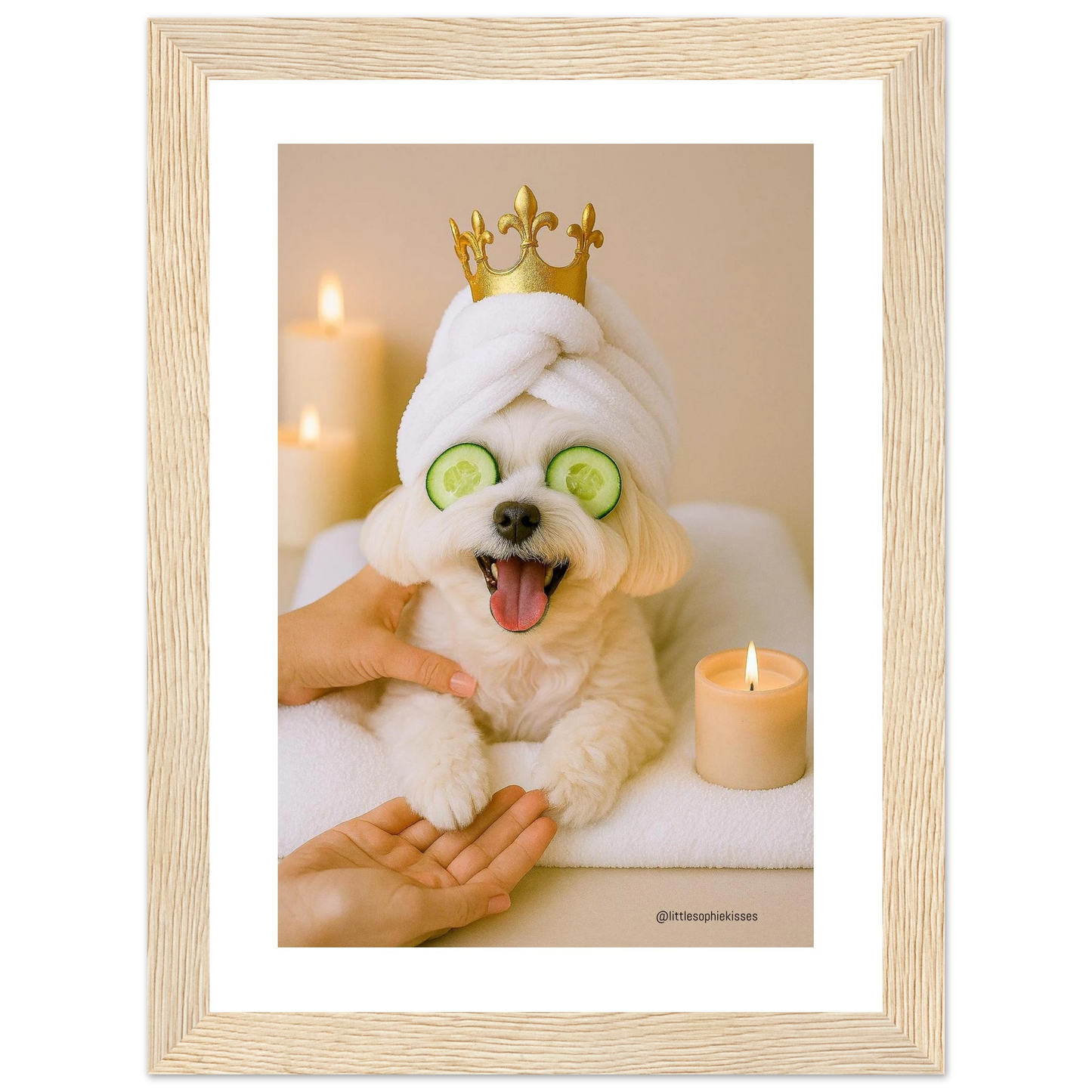 79ab3644-e036-4bad-bfc8-00558ed8c8ff