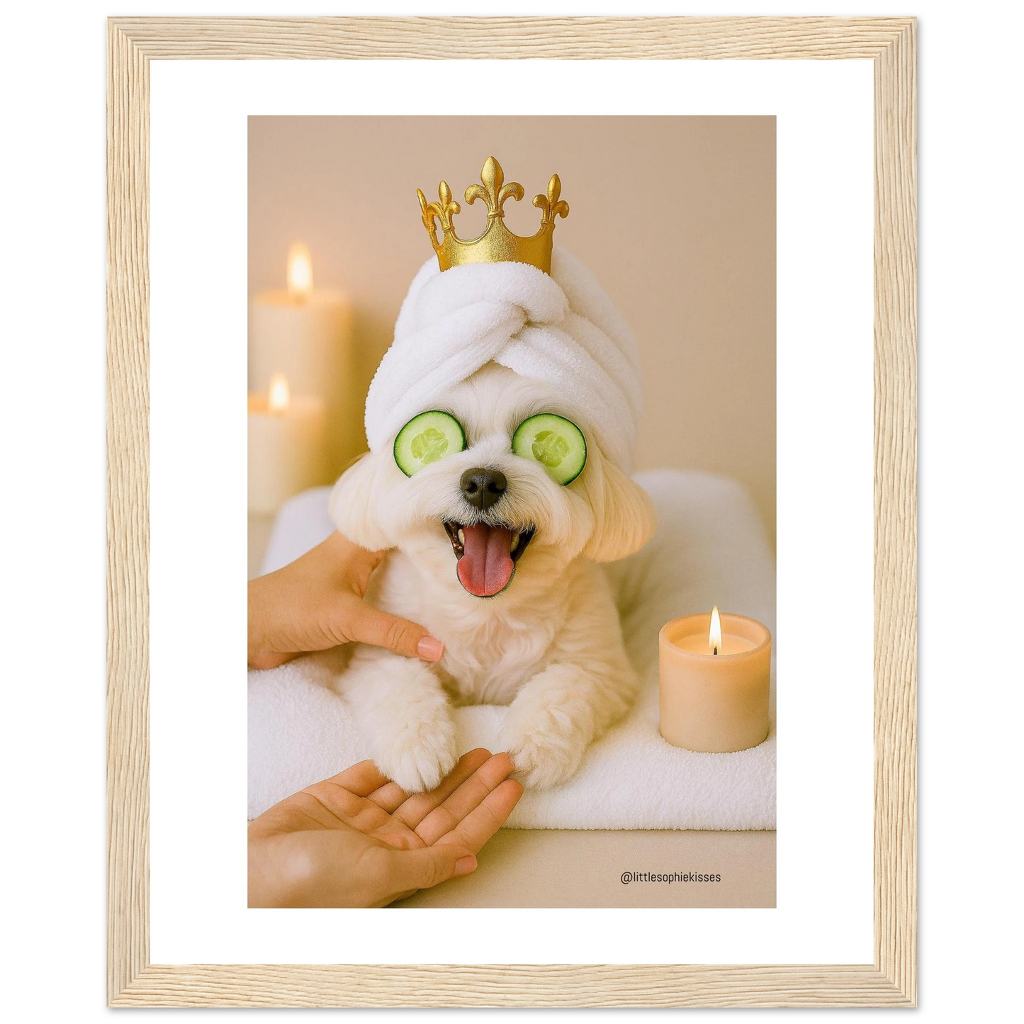 7d931087-47f6-4870-9173-b0e81d2c9e26