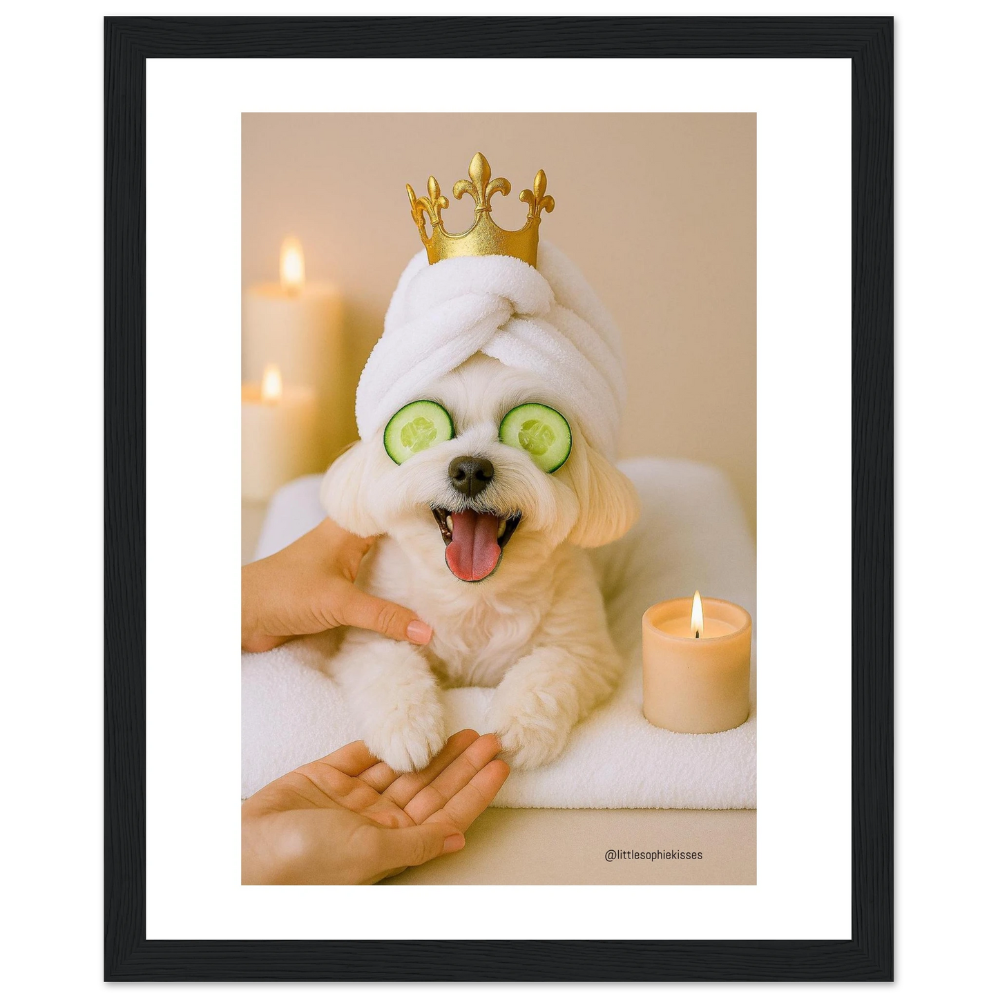 84fd2602-7801-4b37-8013-0729910f36ee