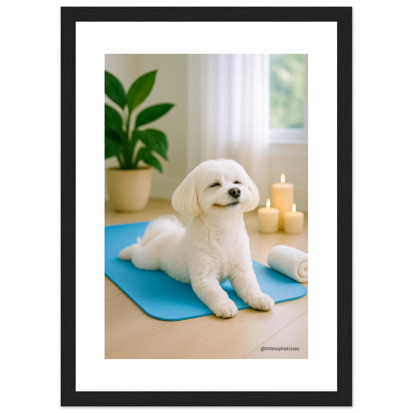 8bd0059c-39e7-4661-98f2-d3716f947574