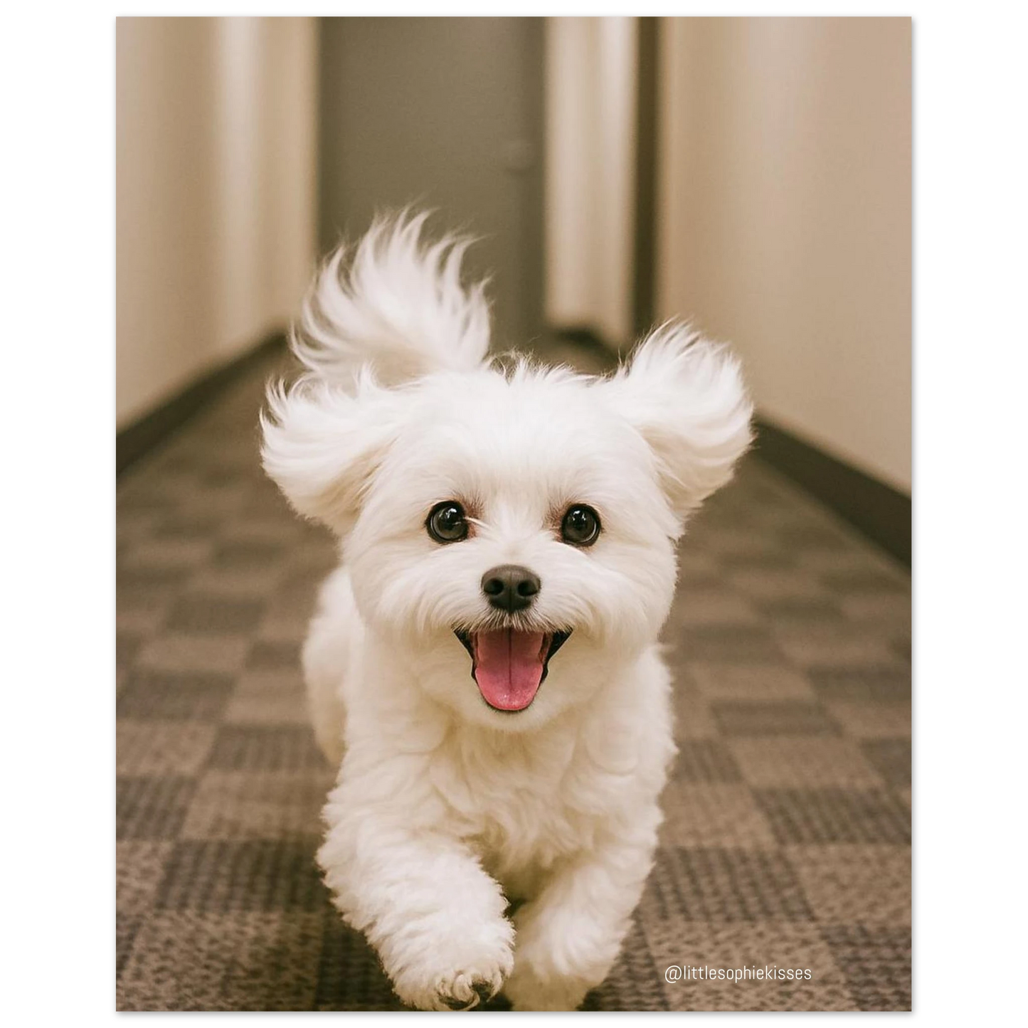 8e126414-41e9-4099-b3a8-c5da3cd0c651