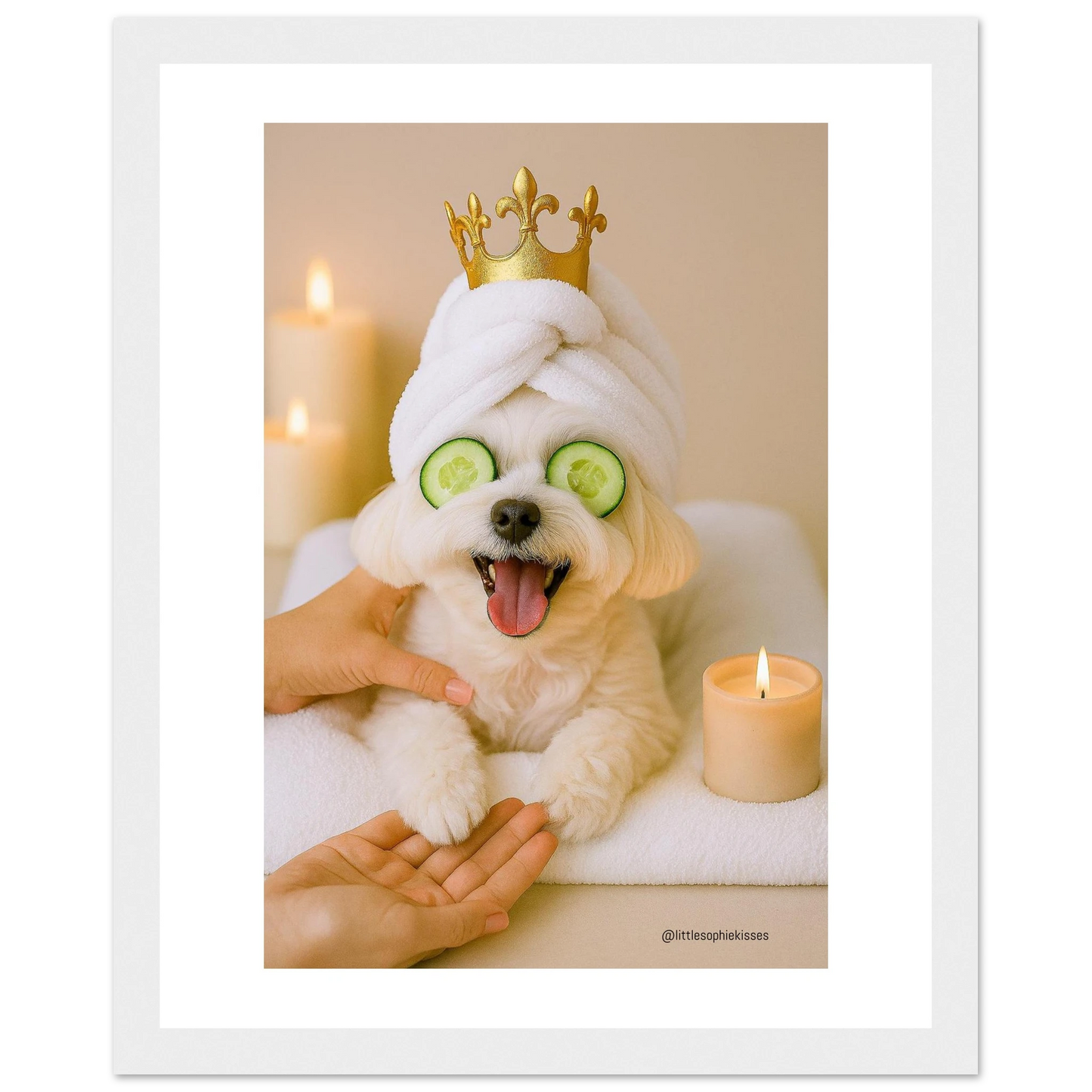 91f524e4-3ece-4b93-aeeb-2a96daa8e5d0