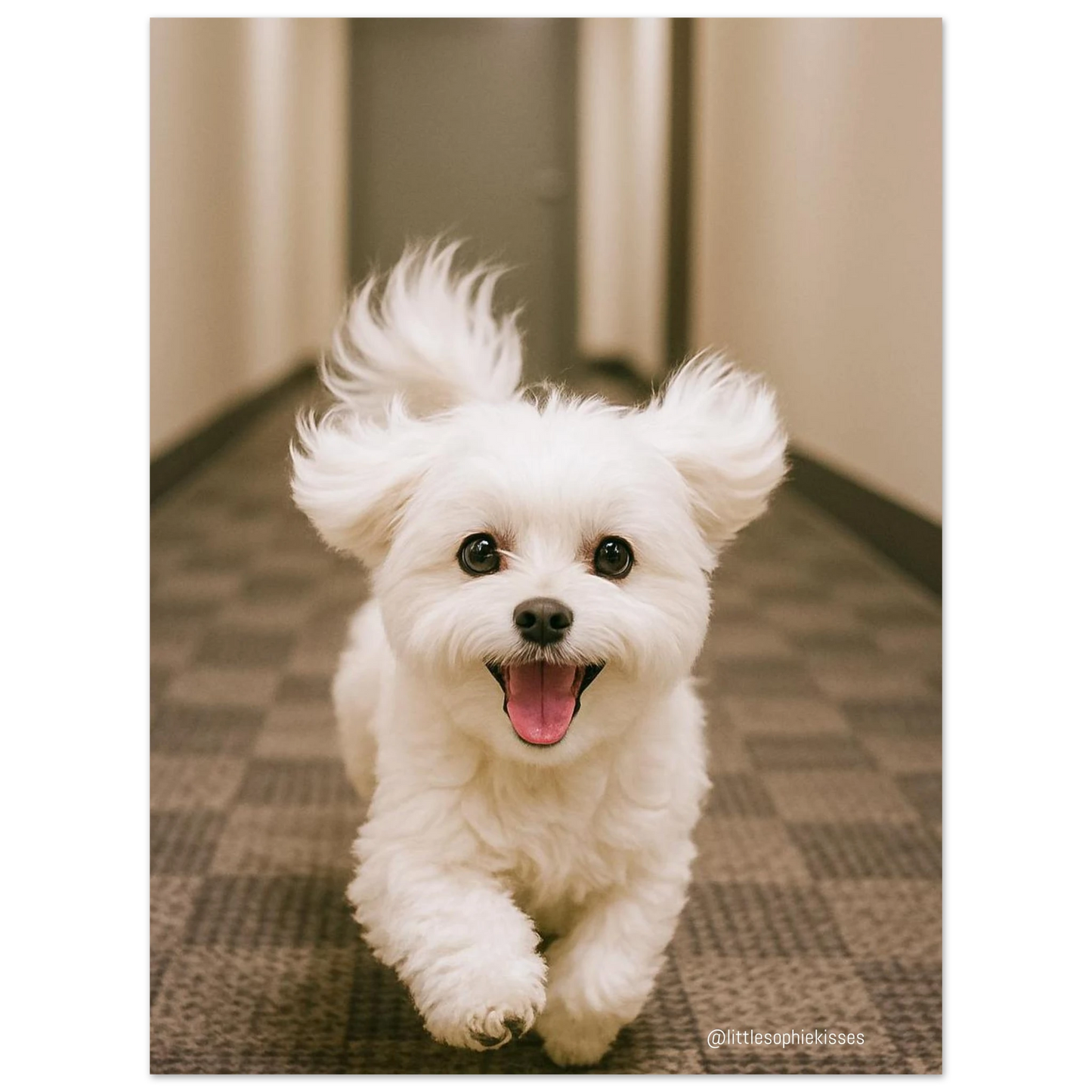 99c18ad8-1e2e-41fe-ad60-5c9e1357005b