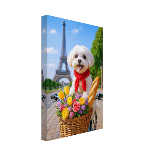 a93d2fb5-017a-4ede-977a-e1e31cc88203