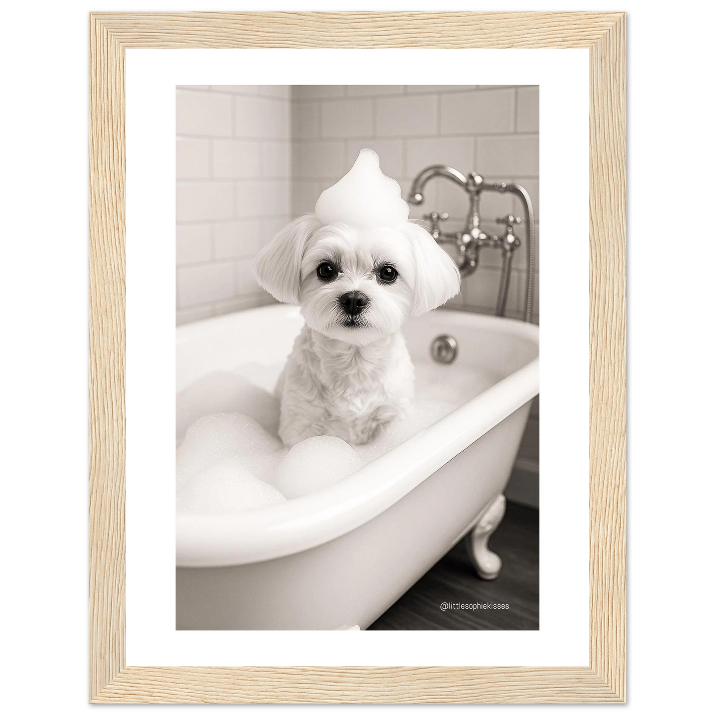 ab19bb14-587a-4bac-8d8d-c8a6cf093827