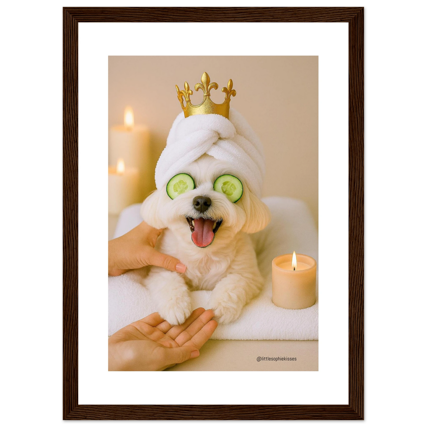 aba92f8f-d763-4400-8ce4-3e1d2127b732