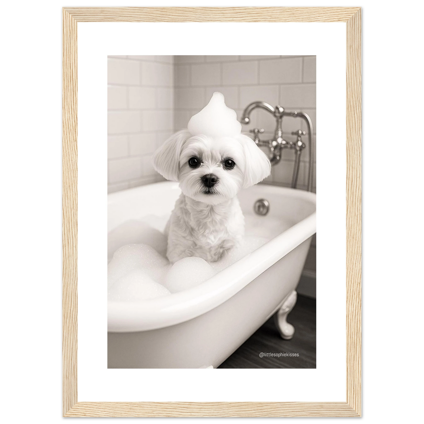 ad4c2b37-9bdb-4edc-94f5-62ffa1c4e4f9