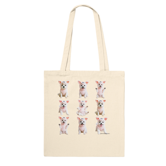 b08ff9fe-2b51-4a01-a97a-8e9f22b081e4