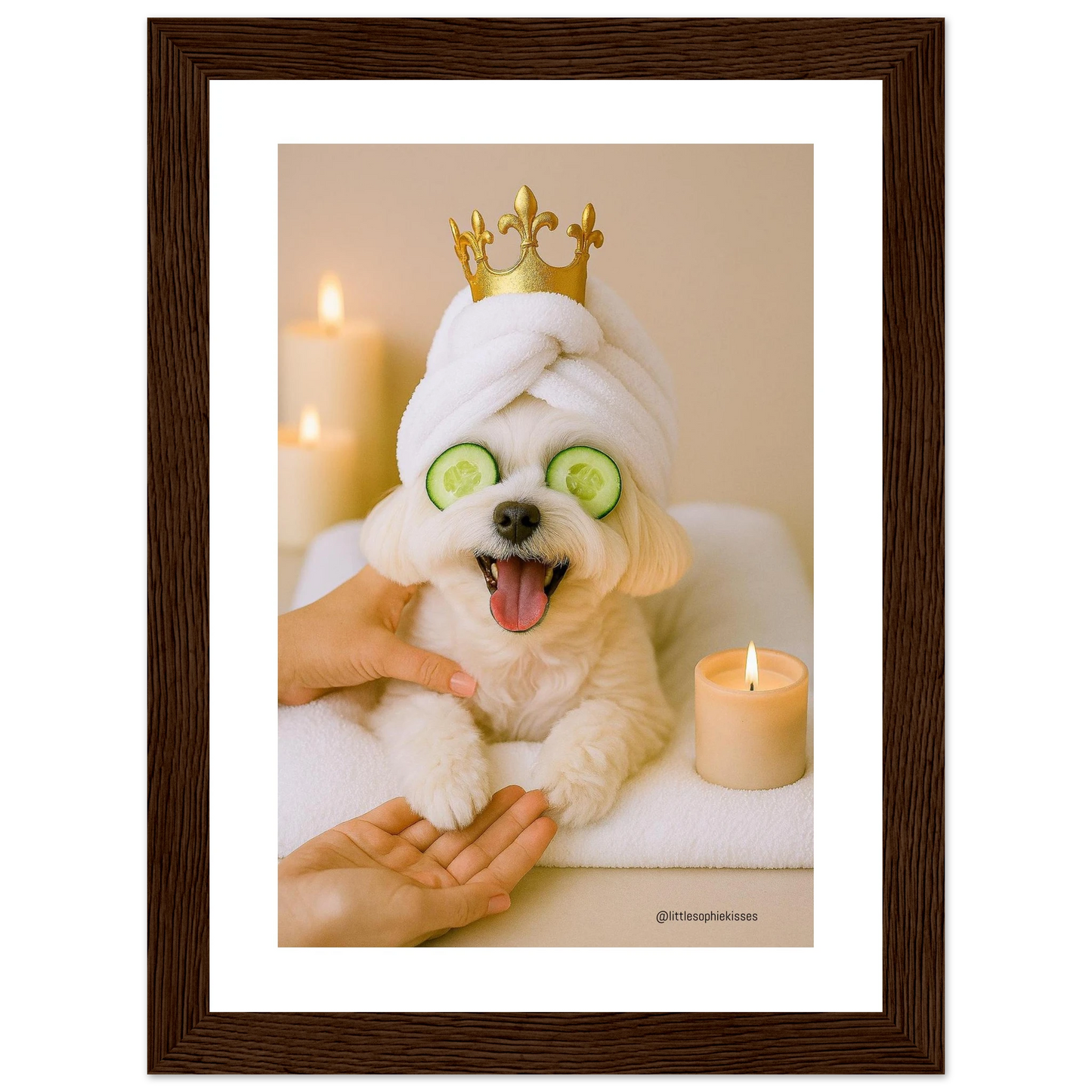 b4d20219-a74e-47f7-bcd5-25297954ecfb