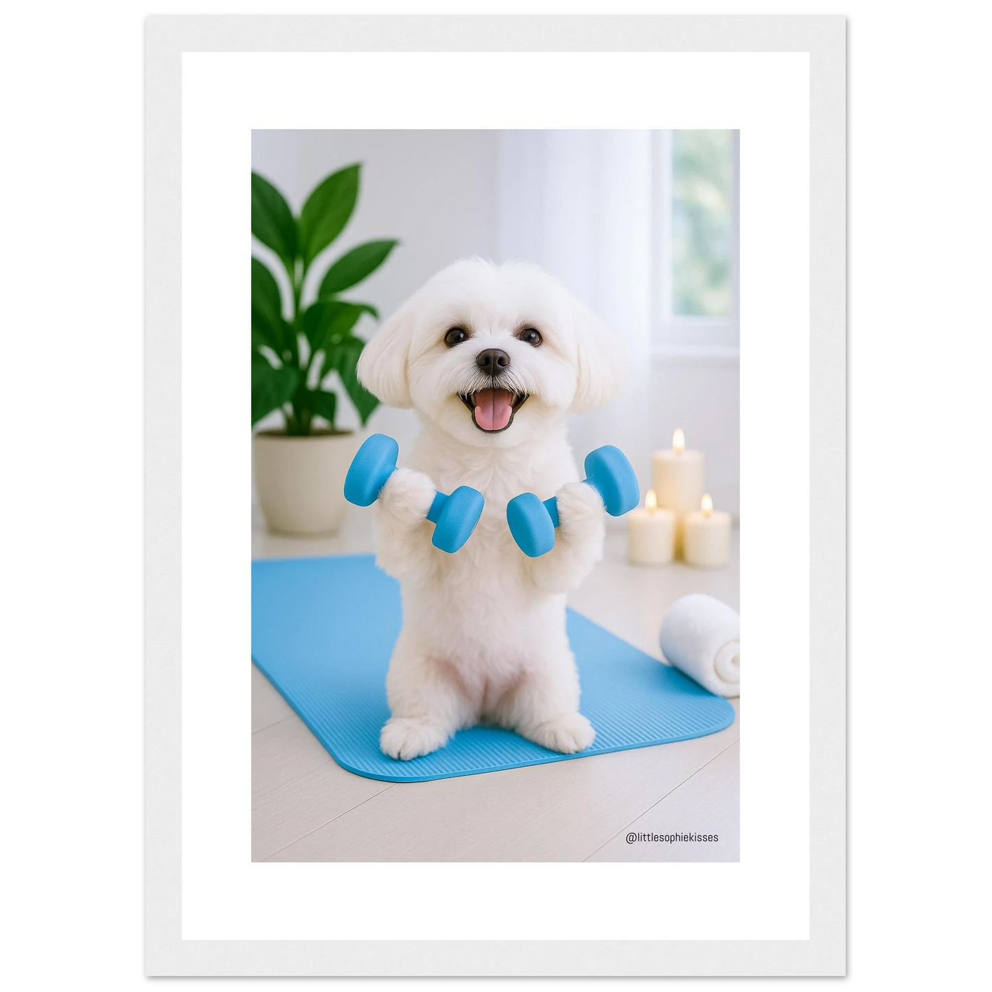 b85f8b45-715d-4b41-8fae-5811eda7103d