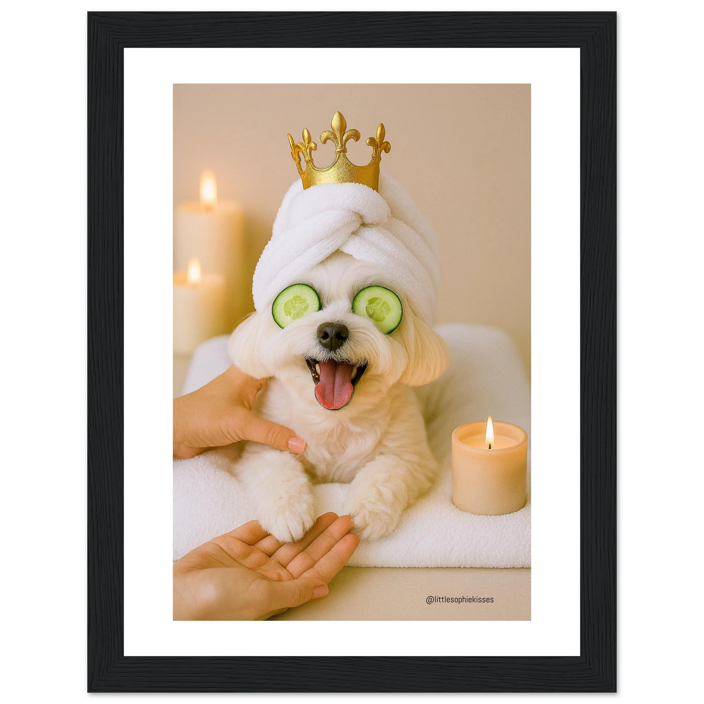 b9caf407-f14a-40b8-8499-f4373218ca86