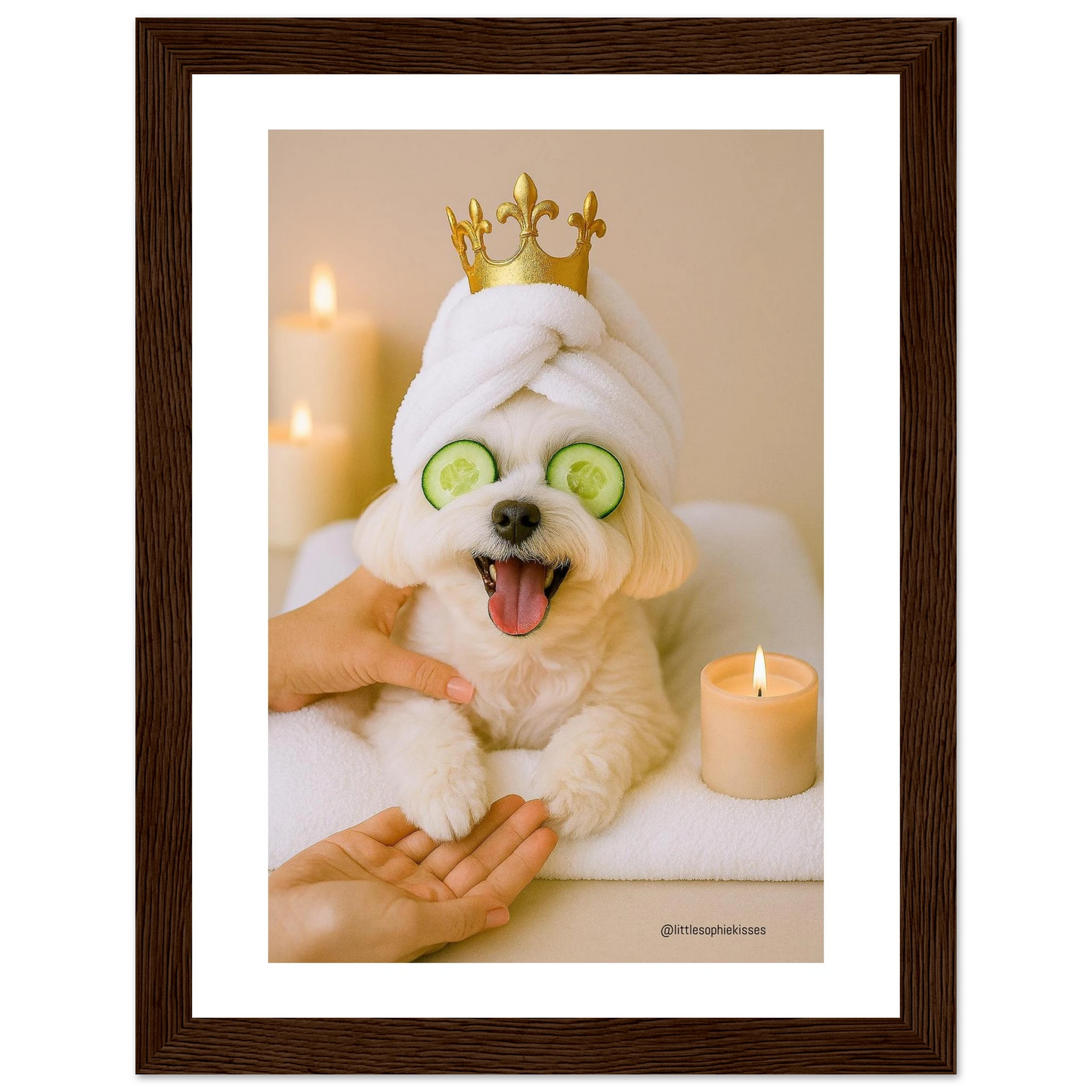 bc0406a0-dc83-4557-be63-b82c003c2372