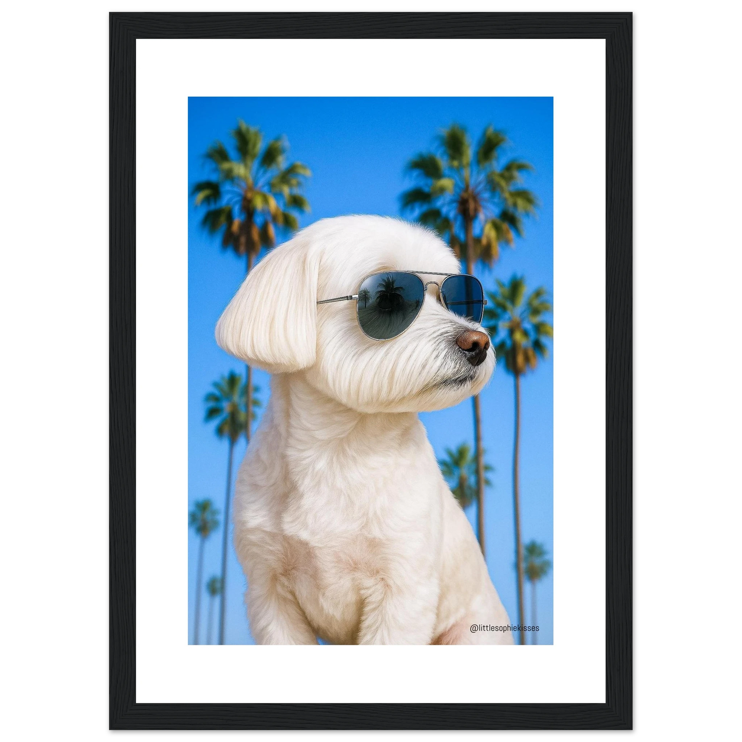 bf5fbe88-b82f-4307-8f61-36791f6673da