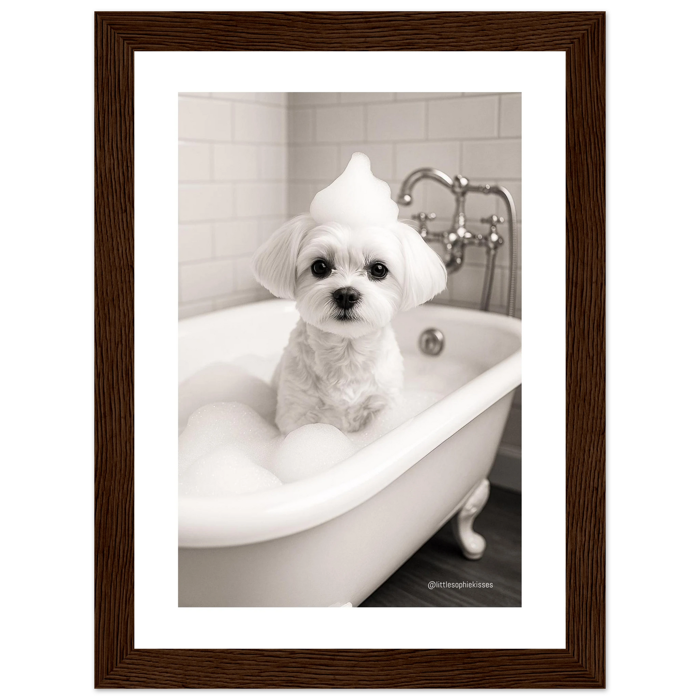 bfc3f11b-b032-46b0-84f5-3e20c3771dcc