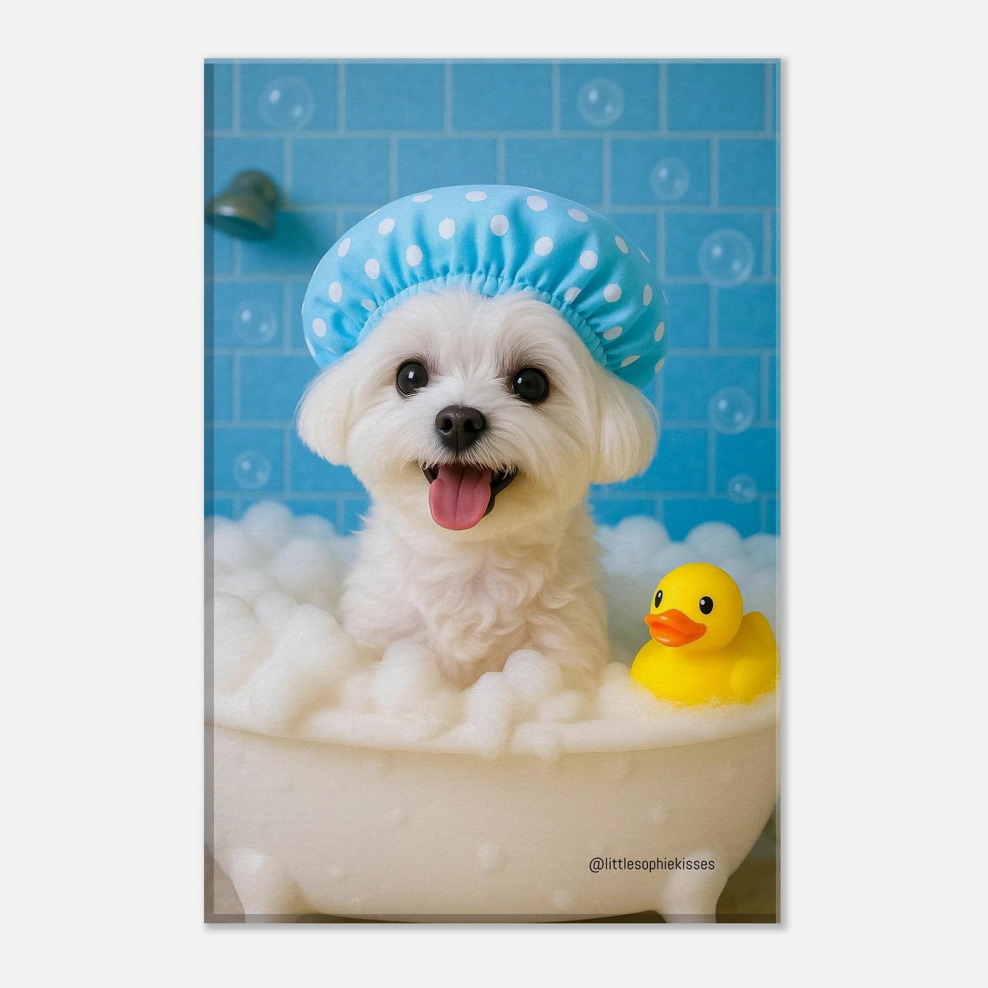 c832b34a-0169-4f62-b173-cd767c31eef1